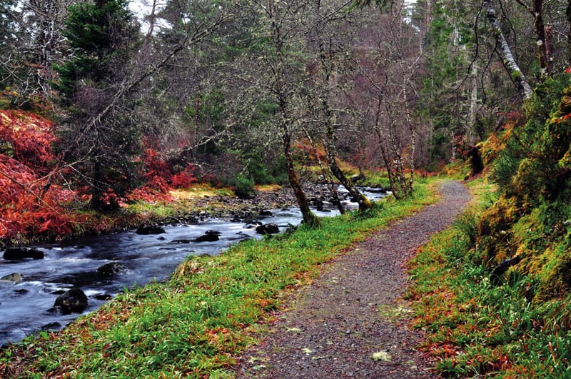 The Fairy Trinkets of Invernauld
