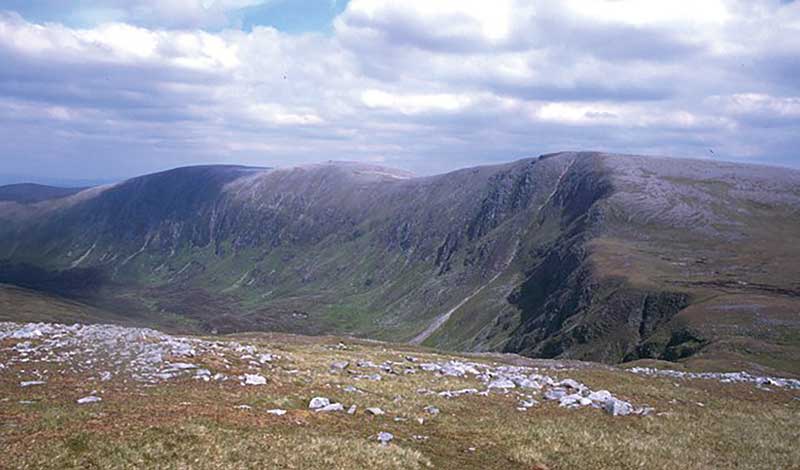 Sir Walter’s forest