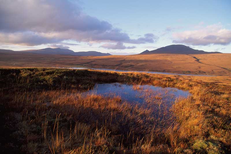 The Flow Country becomes Scotland’s first fully natural Unesco World Heritage Site