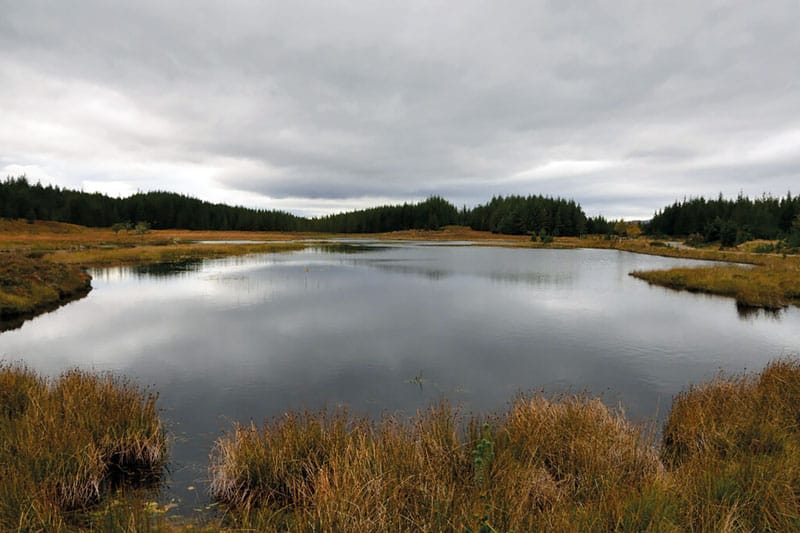 Marshall, Paul and Donald
