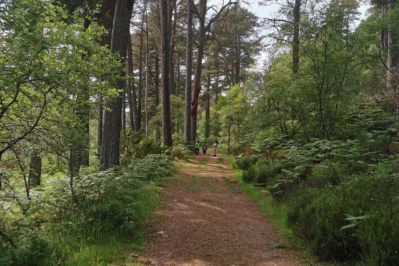 Core Paths in the Kyle of Sutherland area