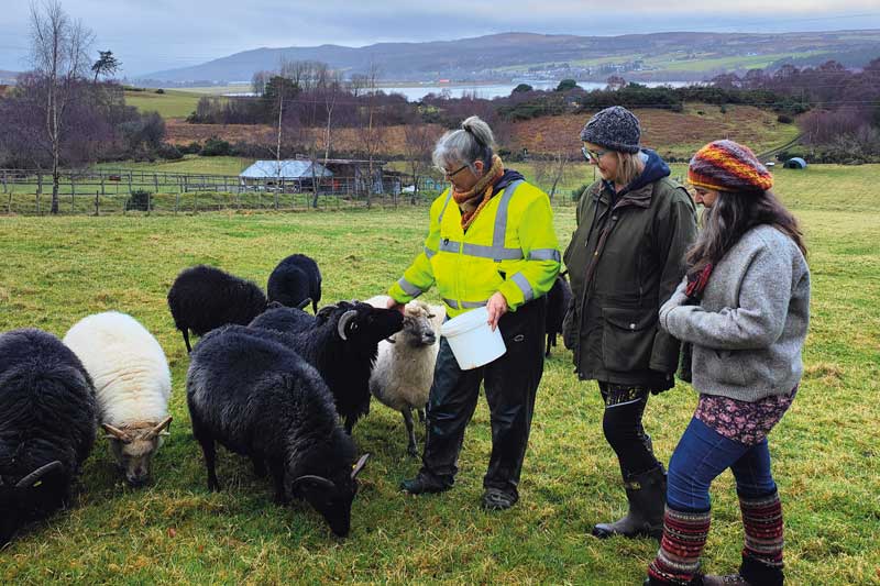 Highland Wool CIC: a sustainable mill