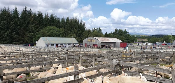 The agriculture of crofting