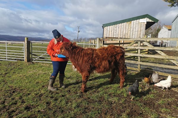 Training future crofters