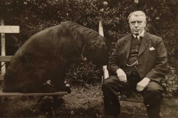 Dr J. D. Macrae: more than a physician