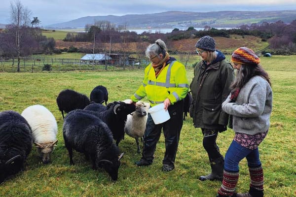 Highland Wool CIC: a sustainable mill